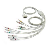 IEC-Patientenkabel mit 10 Ableitungen